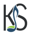 KS Therapy